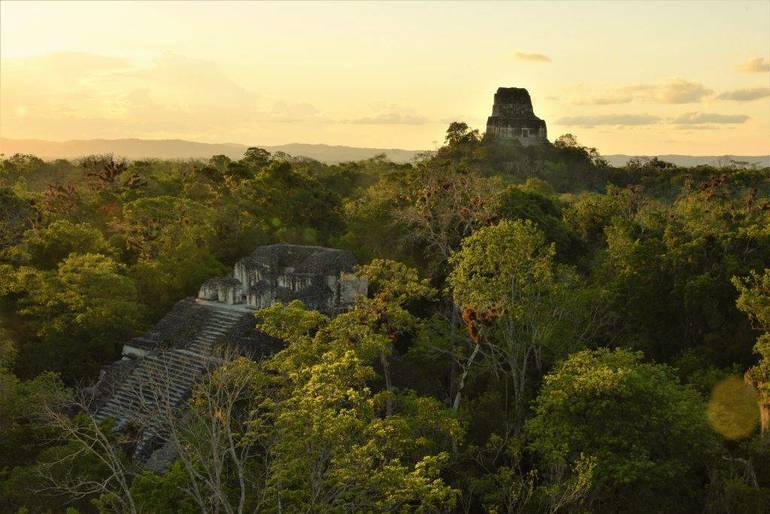 Visitar Templos Tikal