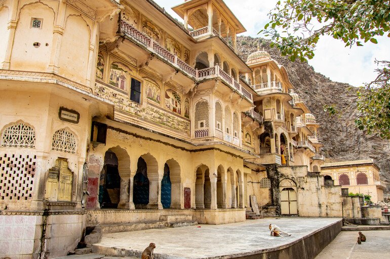 Monkey Temple - Que ver en Jaipur