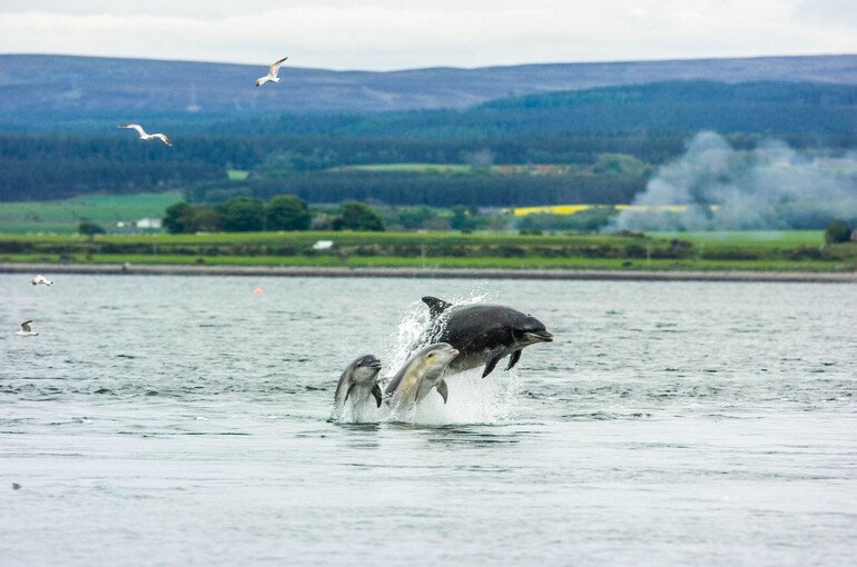 Chanonry-Point-Inverness