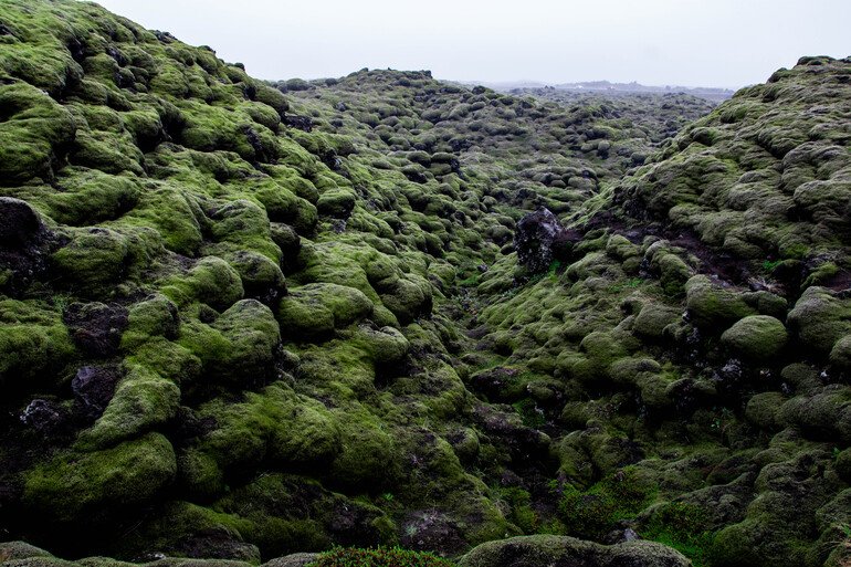 Scenic Green Lava Walk - que ver cerca de Vik