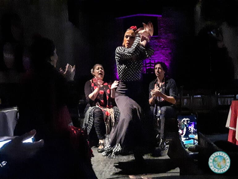 Que ver en Jerez de la Frontera - Espectáculo de flamenco