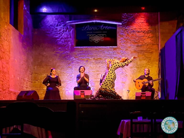 Espectáculo de flamenco en Puro Arte