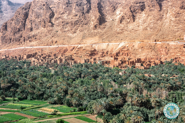 Palmeral de Tinghir en Marruecos