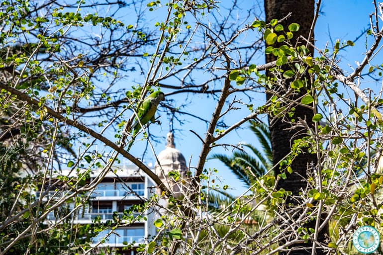 parque-de-malaga-que-hacer-en-malaga