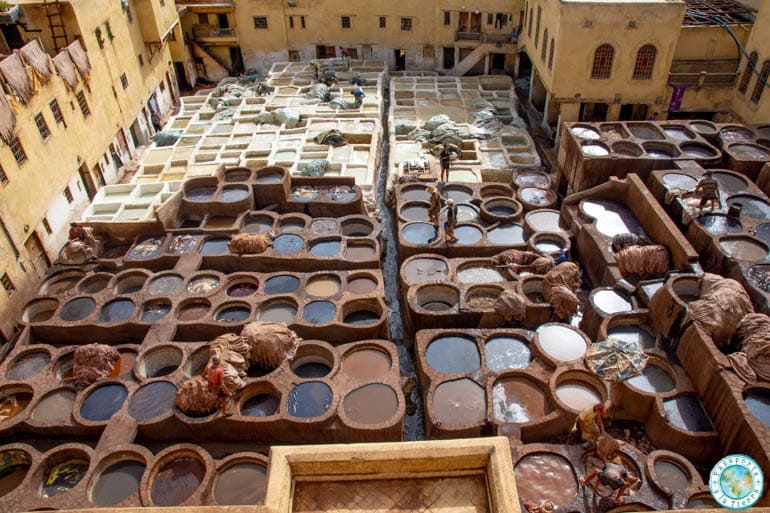 Que ver en Fez - Curtiduría Chouwara