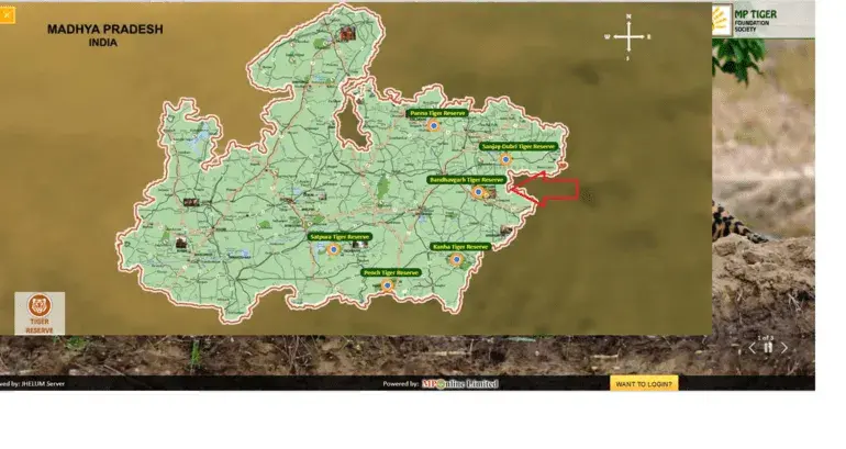 Comprar entradas al Parque Nacional de Bandhavgarh - India 