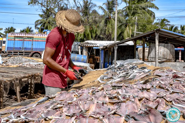 pescadores-trincomalee