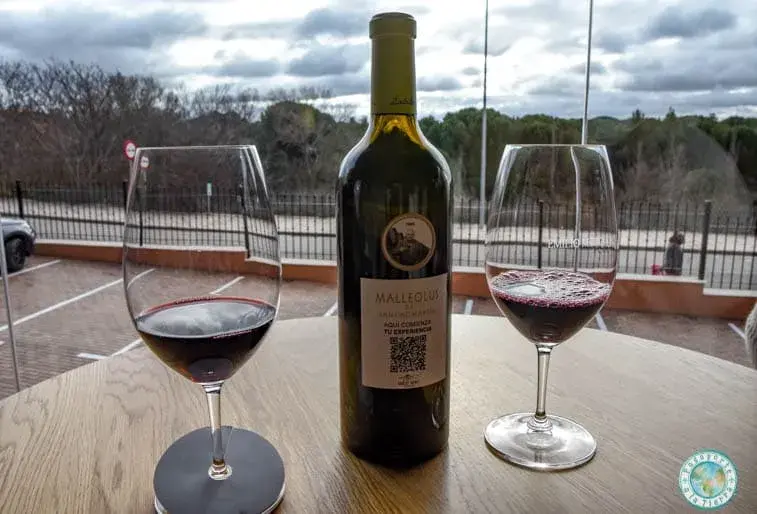 emilio-moro-wine-bar-enoturismo-ribera-duero