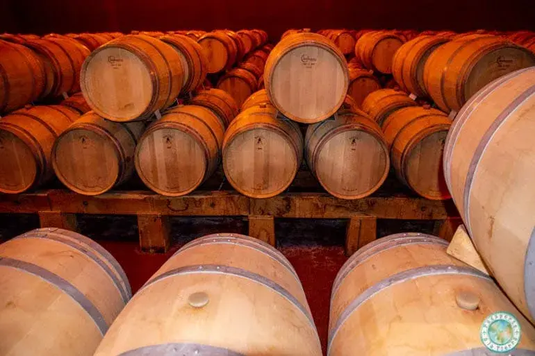 enorturismo-ribera-duero-bodega-finca-villacreces