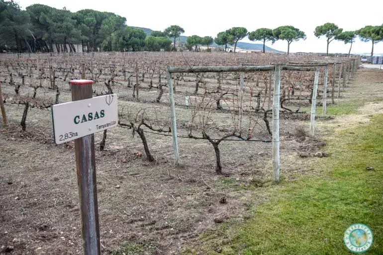 finca-villacreces-terruño