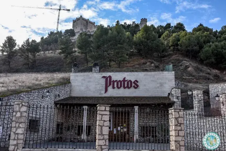 protos-enoturismo-ribera-duero