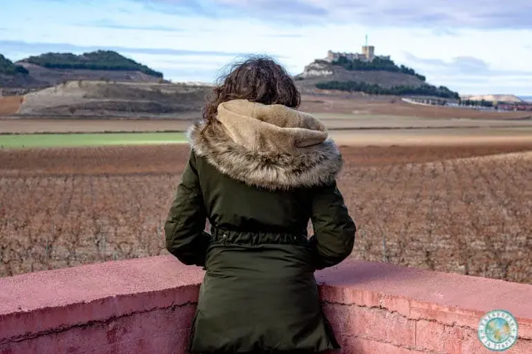 vistas-pago-carraovejas-castillo-peñafiel