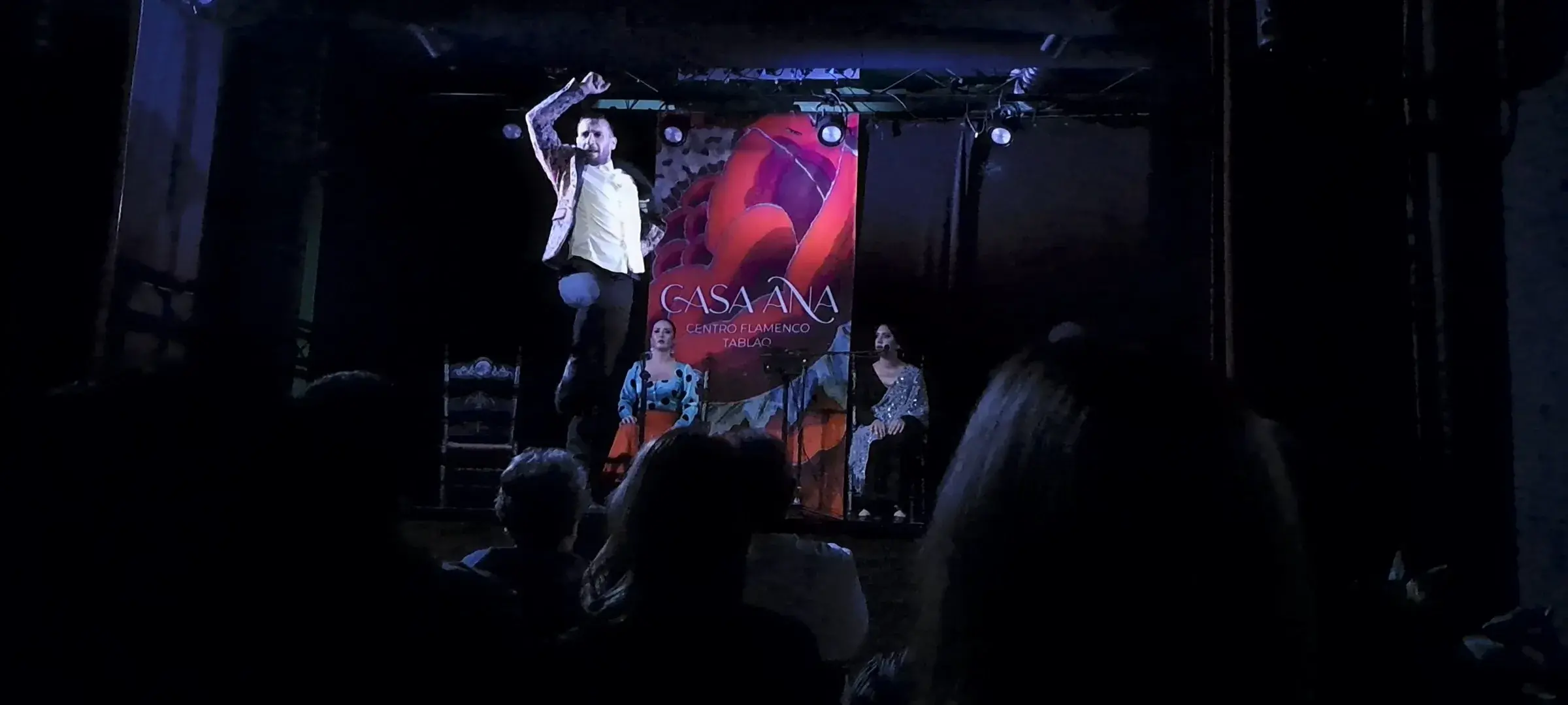 flamenco-casa-ana--que-hacer-en-granada