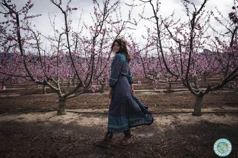 melocotoneros-floracion-cieza