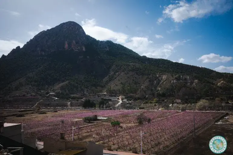 vistas-balcón-muro-que-ver-en-cieza