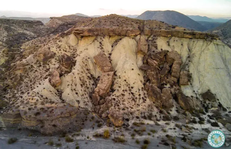 la-tortuga-que-ver-en-el-desierto-de-tabernas