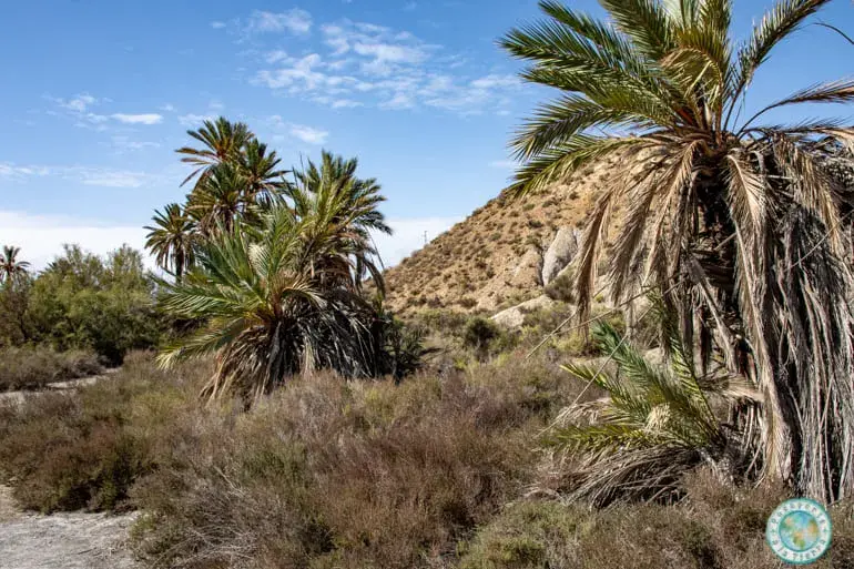 oasis-lawrance-arabia-desierto-tabernas