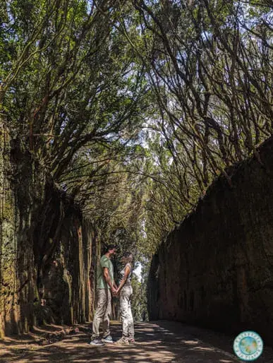 anaga-que-ver-en-tenerife