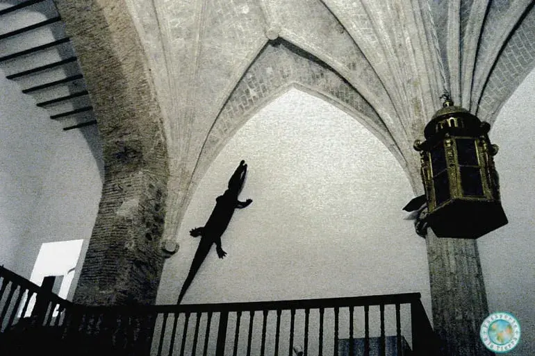 cocodrilo-iglesia-asuncion