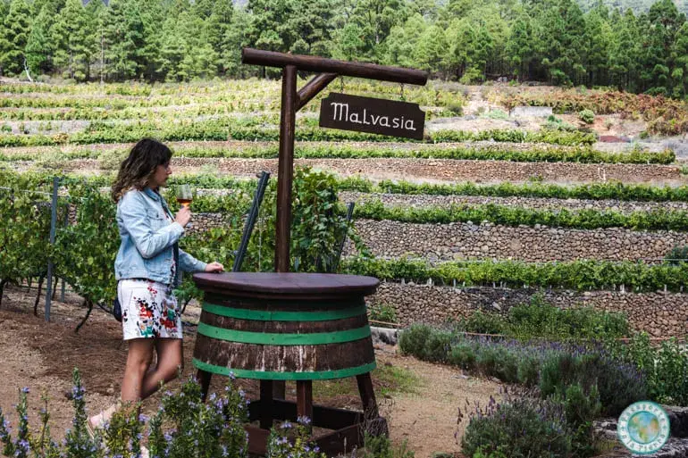 visitar-bodega-vinos-ferrera-tenerife