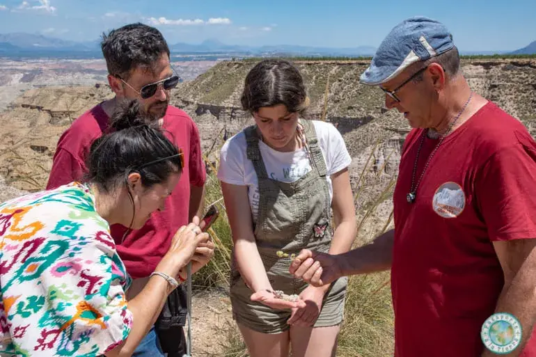 flora-y-fauna-desierto-de-gorafe