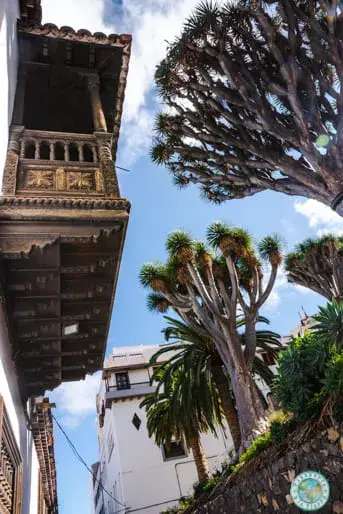 pasear-por-la-orotava