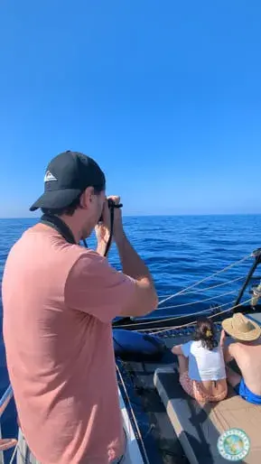 fotografia-avistamiento-cetaceos-costa-adeje