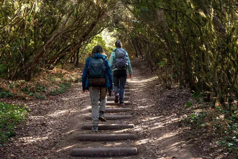 tour-guiado-anaga-tenerife