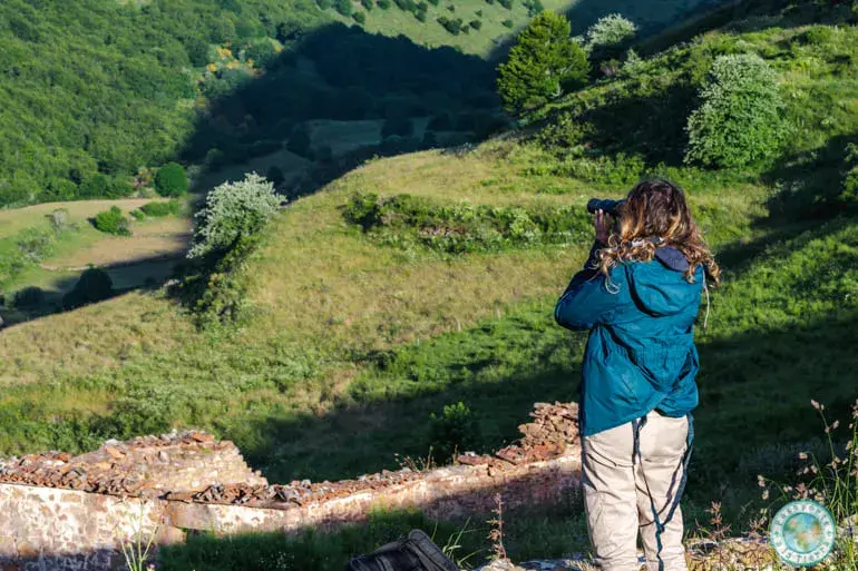 avistamiento-osos-por-libre-somiedo