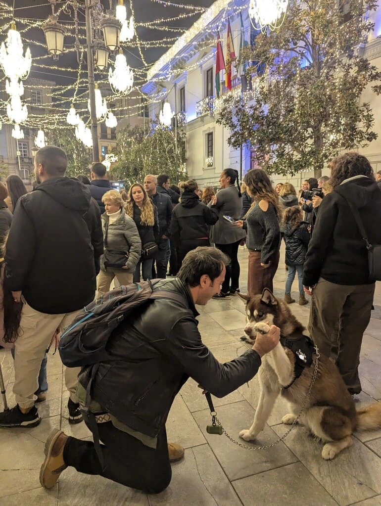 espectaculo-luces-navidad-plaza-del-ayuntamiento-granada