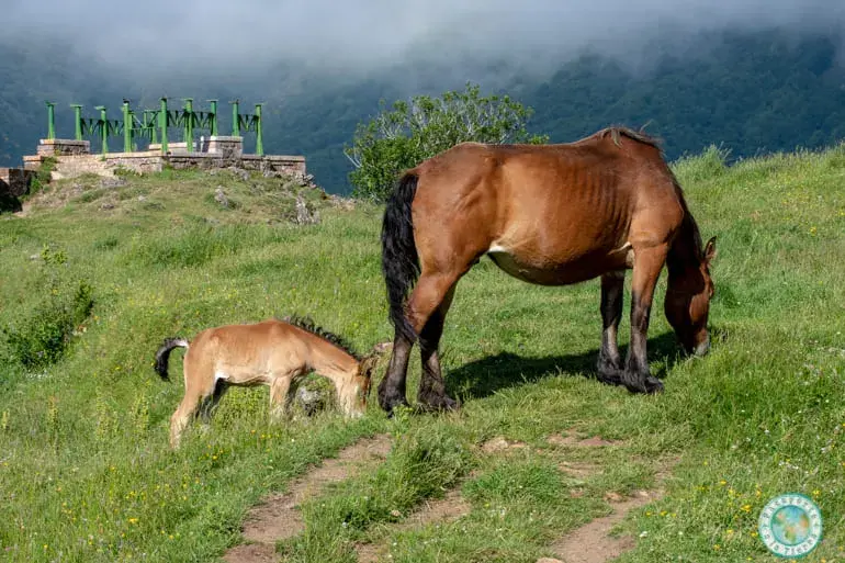 mirador-la-peral-somiedo