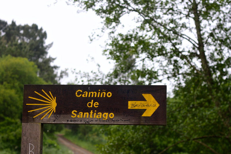 camino-santiago-rutas-por-el-norte-de-españa