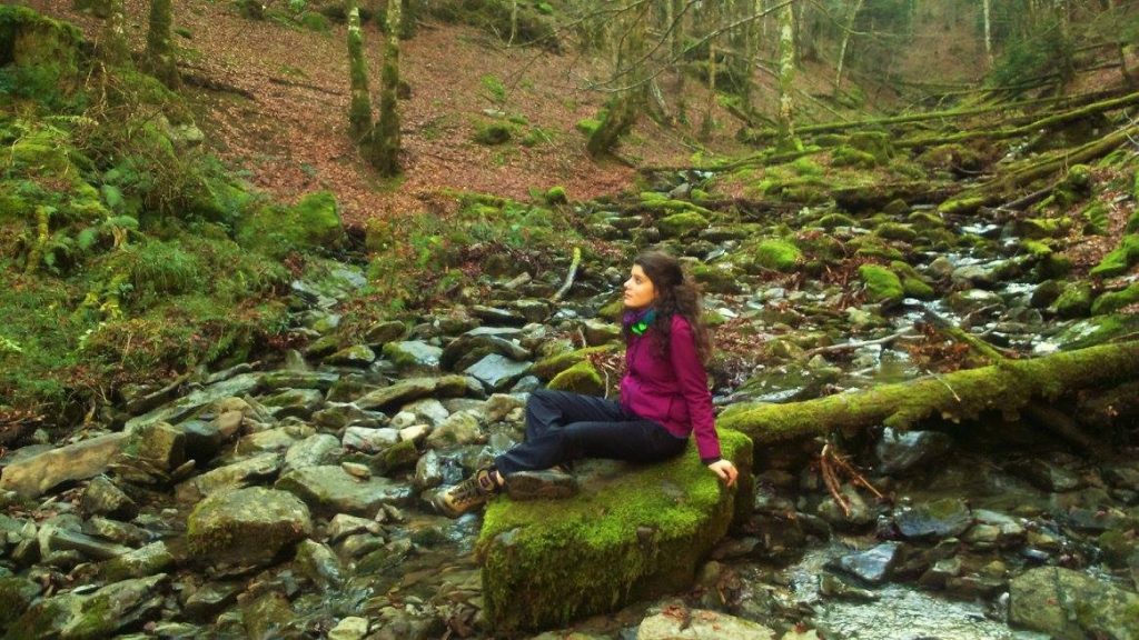 selva-de-irati-navarra