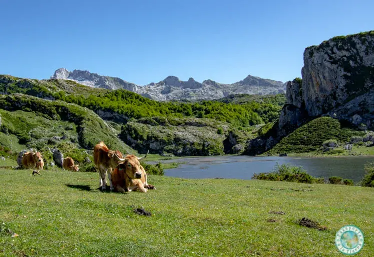 lagos-de-covadonga-asturias