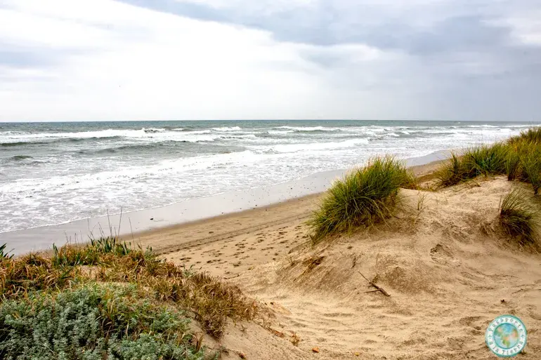 dunas-arena-artola-cabo-pino-que-ver-en-la-costa-del-sol