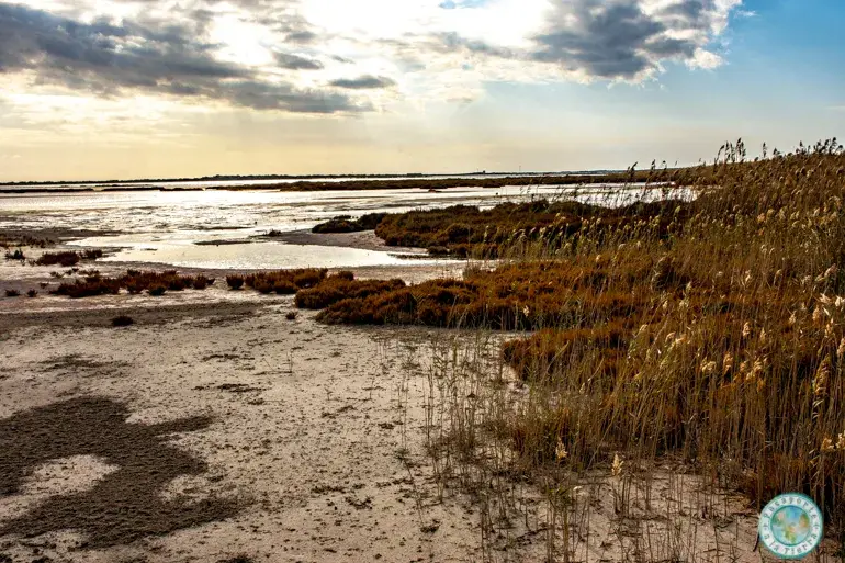 parque-natural-punta-entinas-sabinar-roquetas-de-mar