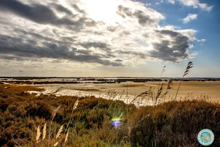 parque-natural-punta-entinas-sabinar