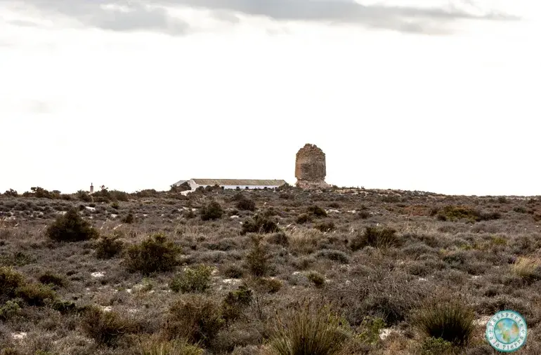 torre-cerrillos