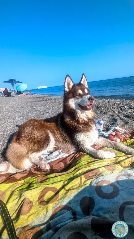 como-llegar-playa-canina-granada