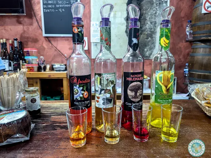 degustacion-vinos-bodega-museo-malvasia