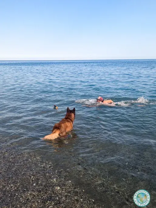 playa-para-perros-motril-granada