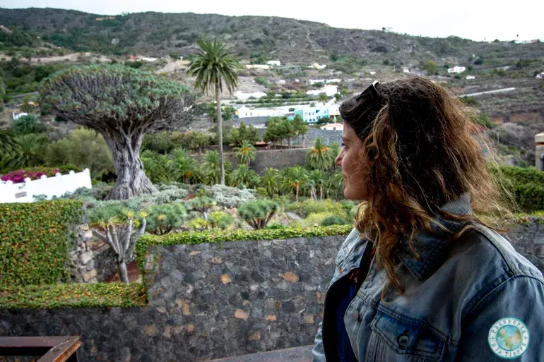 que-ver-en-icod-de-los-vinos-en-un-dia