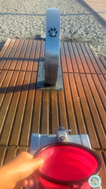 servicios-playa-perros-granada