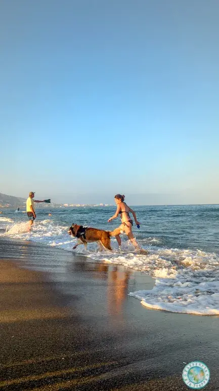 bagan-playa-malaga