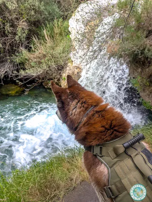 bagan-ruta-rio-dilar-granada