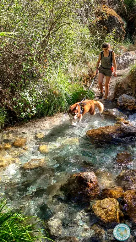 cruzando-cauce-rio-dilar