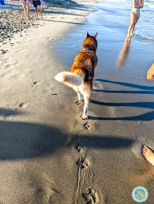 huella-bagan-playa-canina