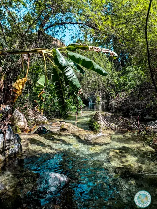 jungla-poza-macias