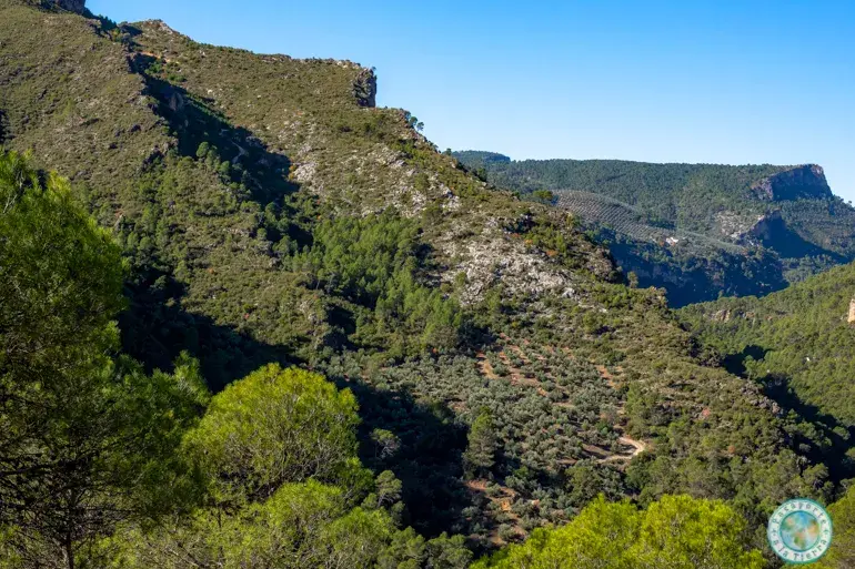 mirador-fuente-negra