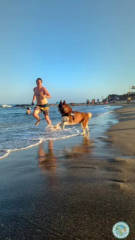 playa-perros-fuengirola-malaga